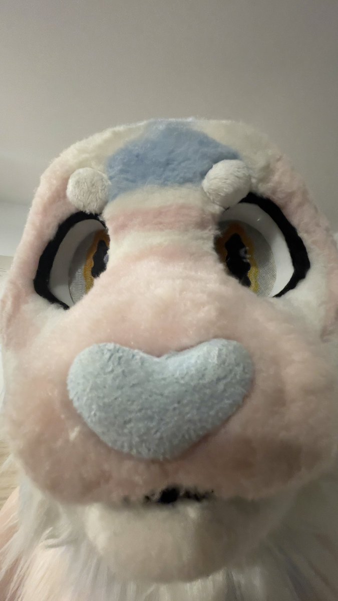 When the FaceTime connects 👁️👄👁️