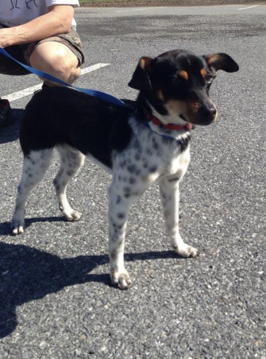 Matthew Link, Ed.D. tweet media