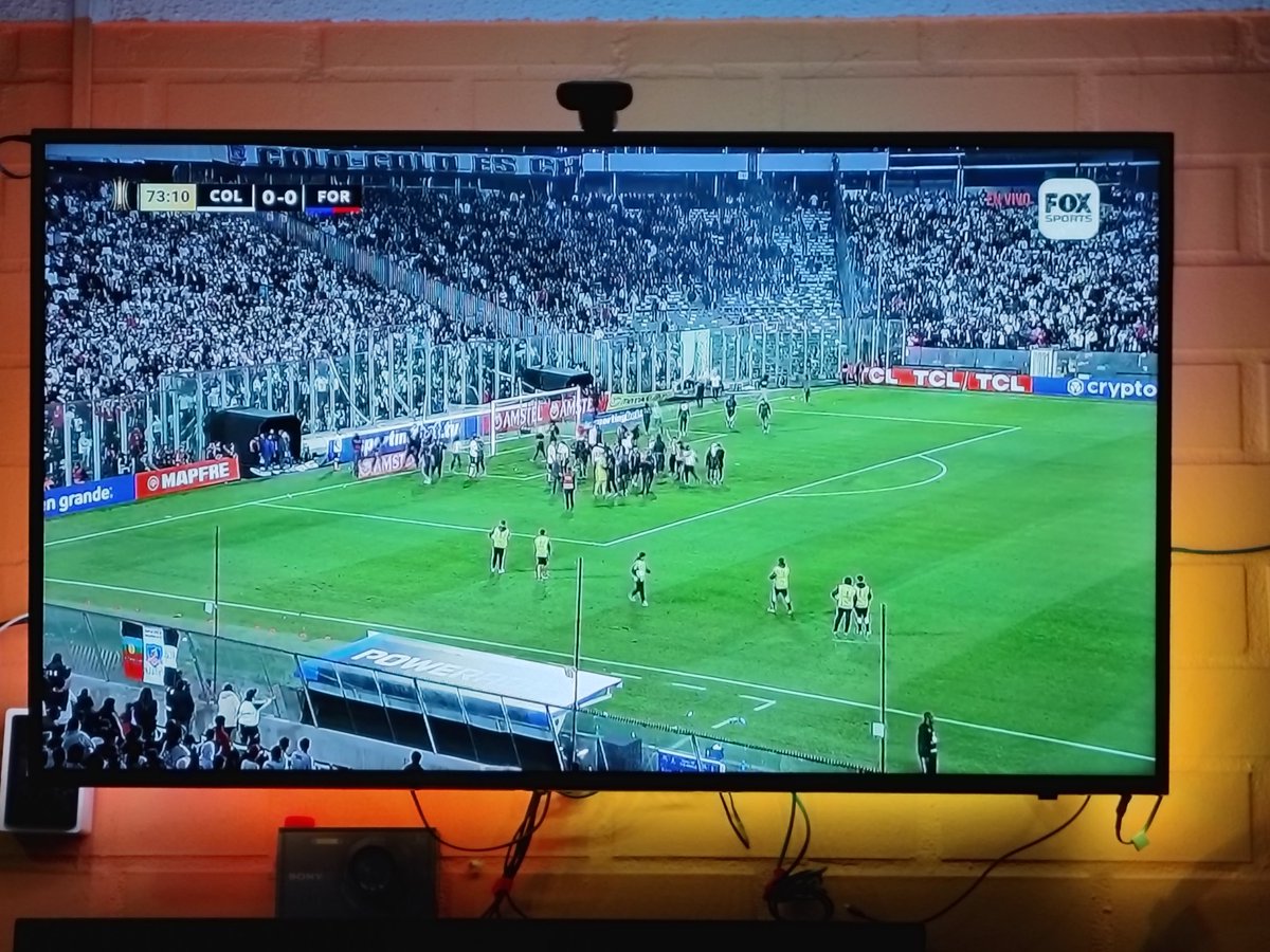 Simios y la ctm mal llamados hinchas!!!!! 

#colocolo 
#CopaLibertadores