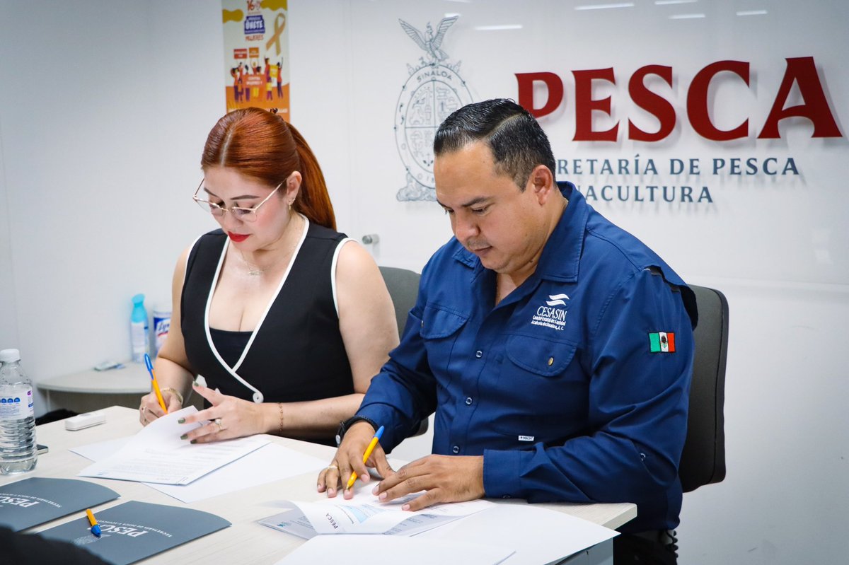 El Gobernador <a href="/rochamoya_/">Rubén Rocha Moya</a> reafirma su compromiso con la sanidad acuícola.
Con una inversión de 4 millones de pesos, se fortalece al <a href="/CESASIN/">CESASIN</a> , una institución clave que brinda asistencia técnica de calidad a las y los productores, y promueve el control sanitario y la inocuidad.