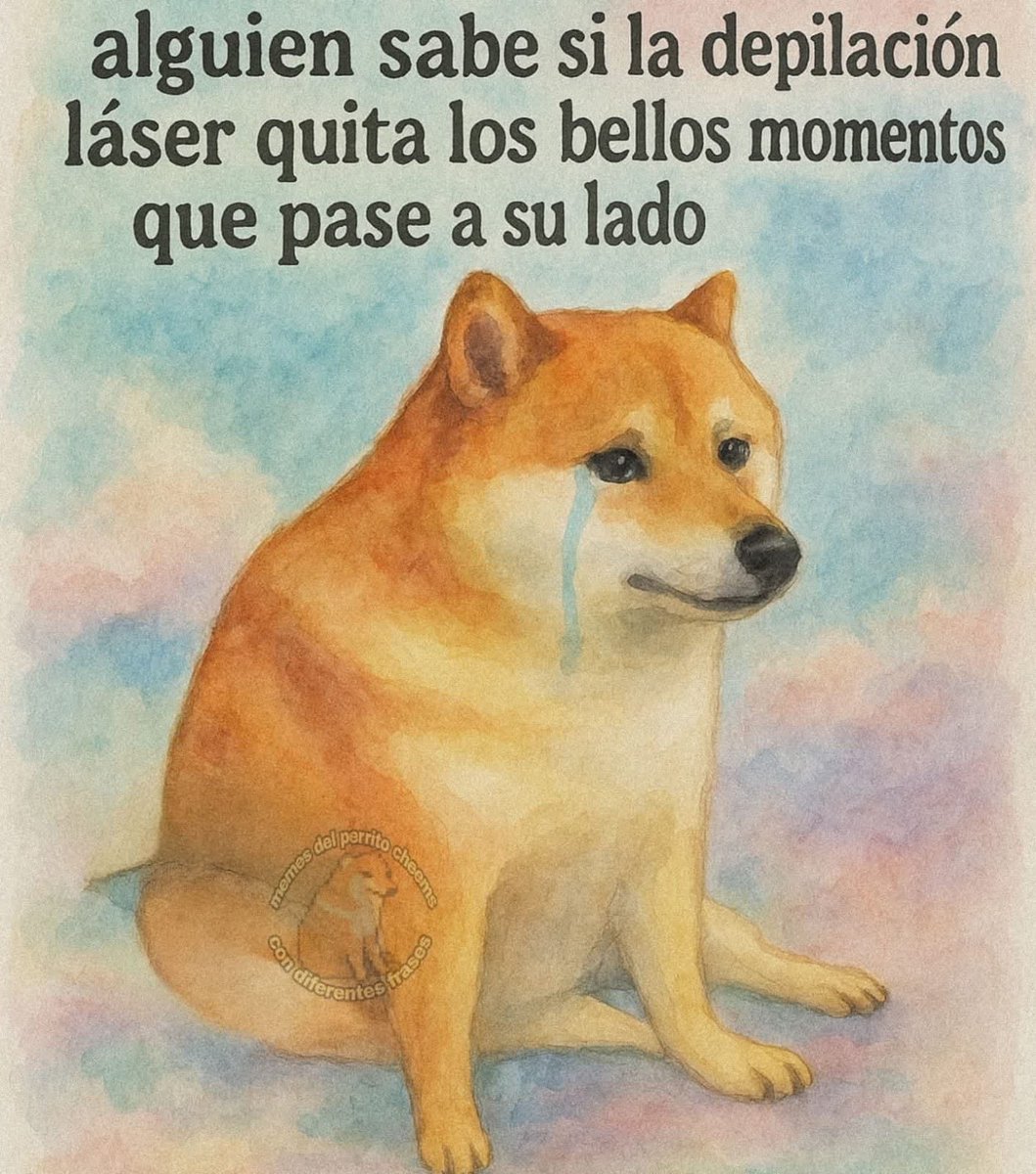 Irma Mando (@nh_smms) on Twitter photo 