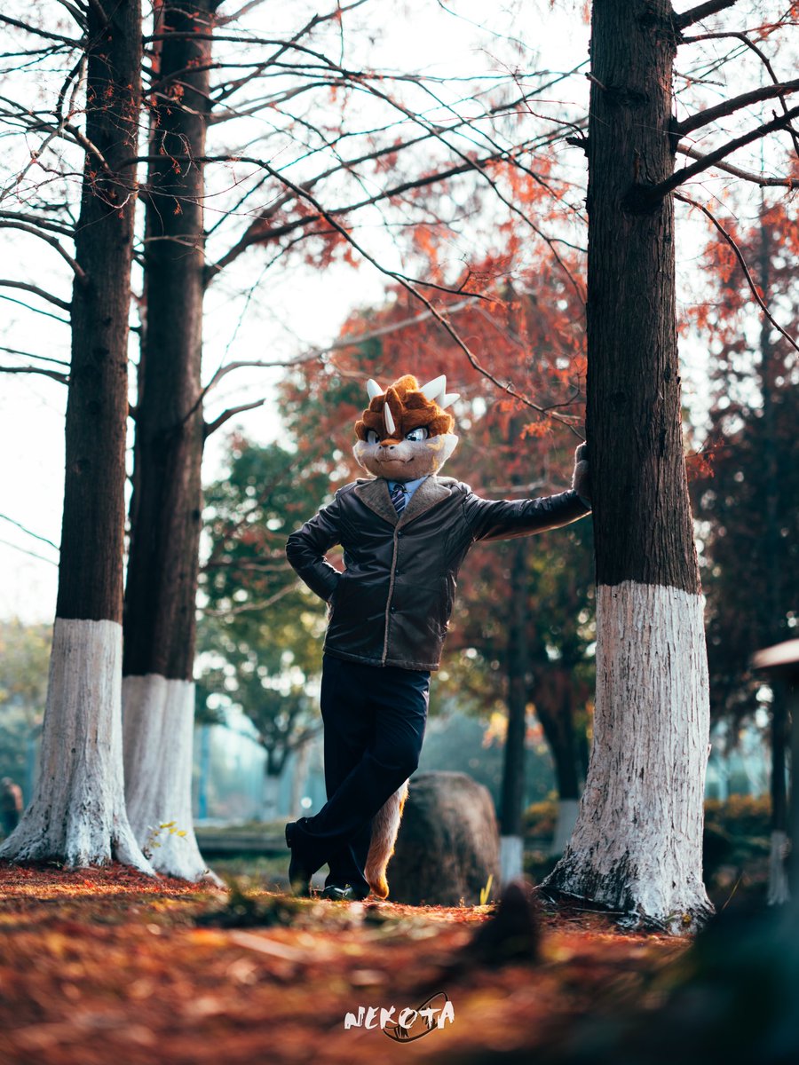 本周是继续猫太亲摄影合集，喜欢吗，不喜欢的话你就完了。
This week continues to be Hineko's photo. Do youlike it?If the answer is no...well...
📷：<a href="/hinekota/">ネコタ@NEKOTA➡SFF</a> 
#FursuitFriday