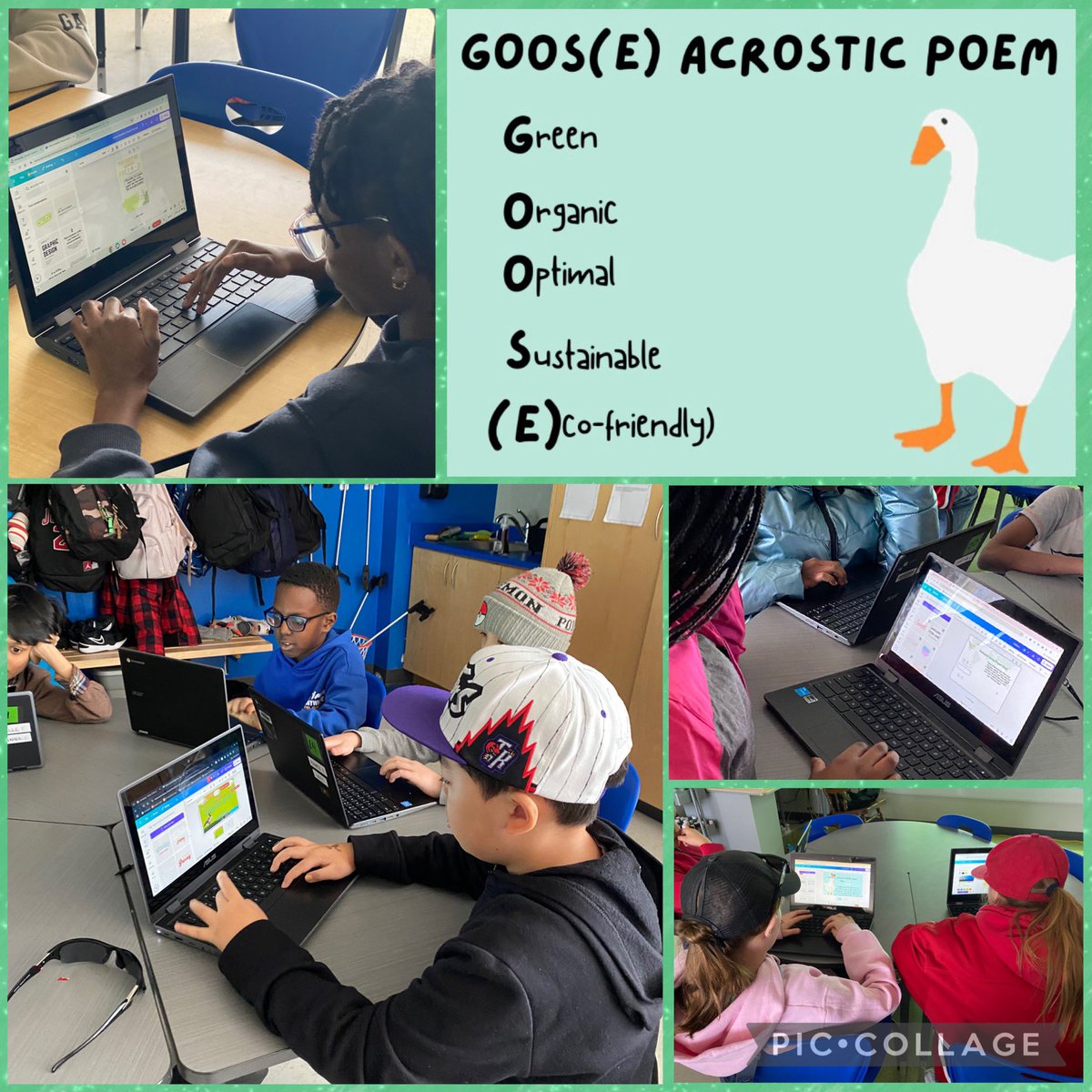 HFLearn's tweet photo. Ss in the @StDominicOCSB Eco Club created a digital awareness campaign to share in our daily school news to help make fellow Ss aware that today is #GOOSPaperDay🪿#EcoSchools @ocsbEco @OttCatholicSB @EcoSchoolsCAN https://t.co/dtRp0p9Roz