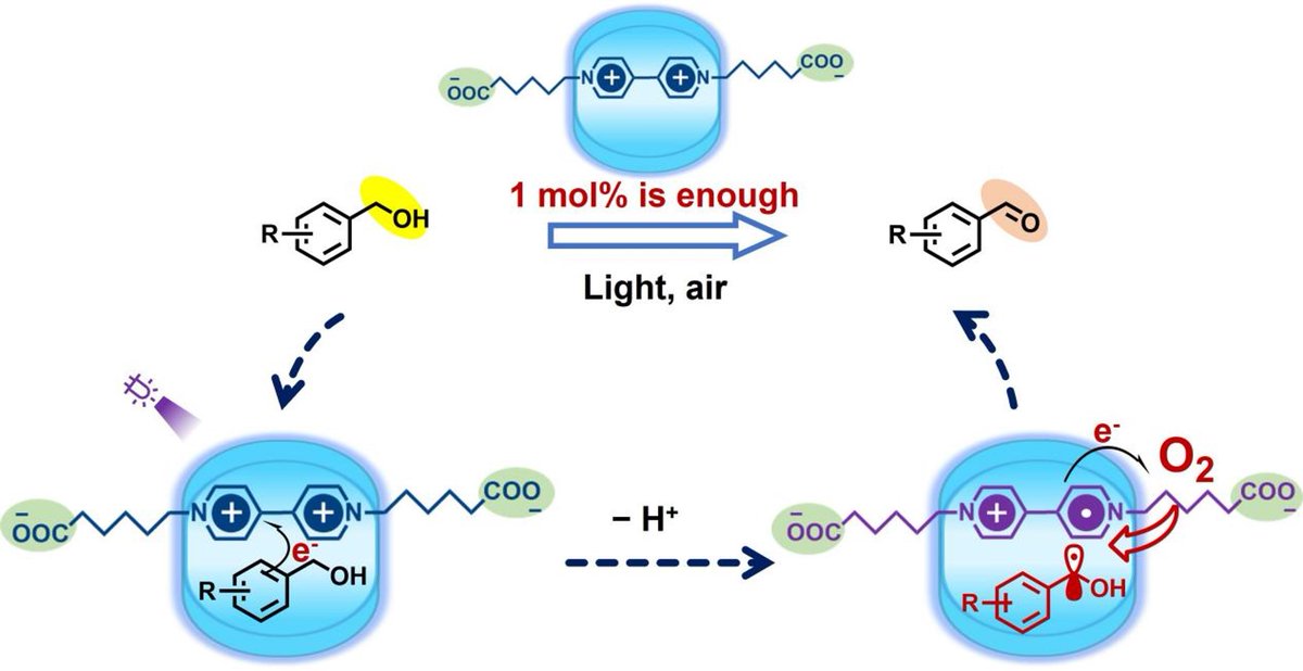 Chinese Chemical Society (CCS) (@chinesechemsoc) on Twitter photo .<a href="/CCSChemistry/">CCS Chemistry</a> Article Highlight: A Supramolecular Catalyst for Selective Photo-oxidation with Catalytic Amount Enabled by Activating Substrates into Radicals
Click to read: chinesechemsoc.org/do/10.5555/cb4…
#chemistry #openaccess #science #chemtwitter .<a href="/CCSChemistry/">CCS Chemistry</a> Article Highlight: A Supramolecular Catalyst for Selective Photo-oxidation with Catalytic Amount Enabled by Activating Substrates into Radicals
Click to read: chinesechemsoc.org/do/10.5555/cb4…
#chemistry #openaccess #science #chemtwitter