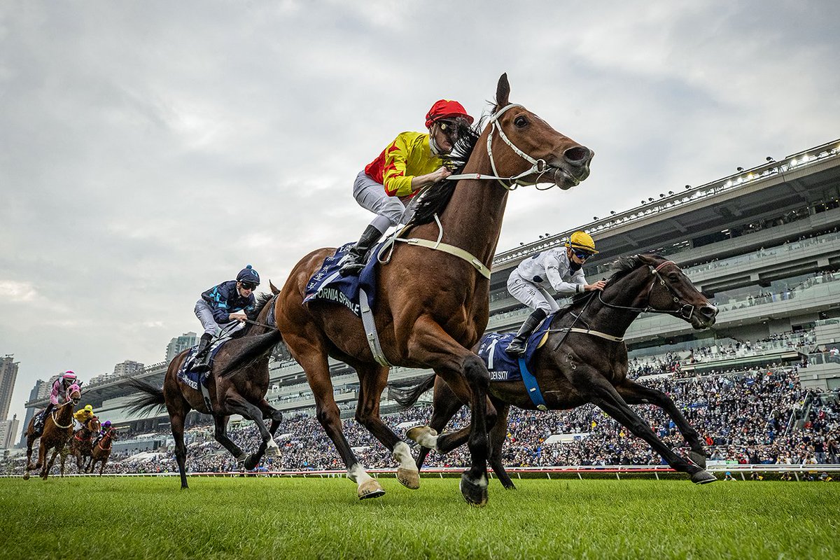 A_Evers's tweet photo. Happy Retirement to California Spangle. 

He was a cheeky guy on an off the track! Tore my heart out in the HK Mile and filled it back up in the Al Quoz Sprint. https://t.co/k3wfLcjhj3