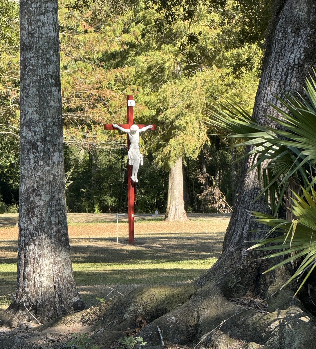 ErictheCatholic's tweet photo. Glory to Jesus Christ. Now and forever. https://t.co/jNOMJ1LKNg