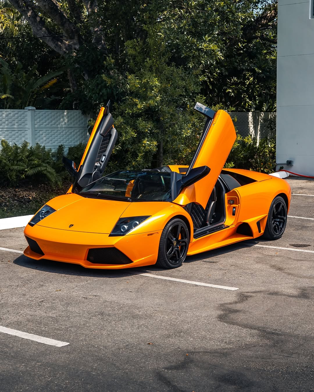 【マルカンラニ】 $_57.JPG?set_id=8800005007