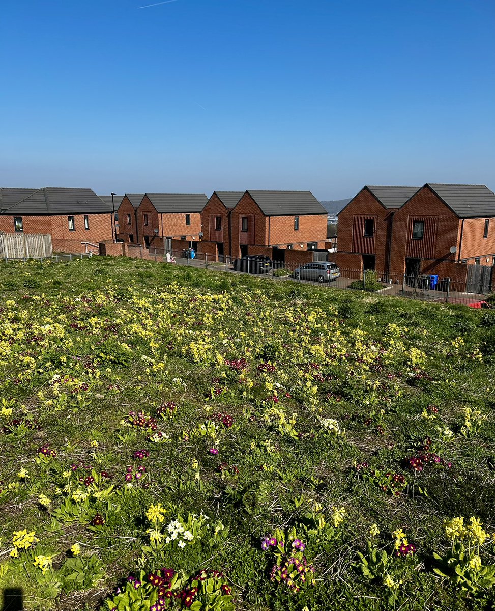 Suzanne Rastrick (@suzannerastrick) on Twitter photo Very grateful to <a href="/roz_davies/">Roz Davies</a> & colleagues <a href="/Green_Estate/">The Green Estate CIC</a> & <a href="/PictorialMeadow/">Pictorial Meadows</a> for hosting my visit with #AHPs in the NE & Yorkshire today
A fitting & inspirational venue for particular focus on #sustainability & #socialjustice from our strategy #AHPsDeliver
<a href="/WeAHPs/">WeAHPs 💙</a> Very grateful to <a href="/roz_davies/">Roz Davies</a> & colleagues <a href="/Green_Estate/">The Green Estate CIC</a> & <a href="/PictorialMeadow/">Pictorial Meadows</a> for hosting my visit with #AHPs in the NE & Yorkshire today
A fitting & inspirational venue for particular focus on #sustainability & #socialjustice from our strategy #AHPsDeliver
<a href="/WeAHPs/">WeAHPs 💙</a>