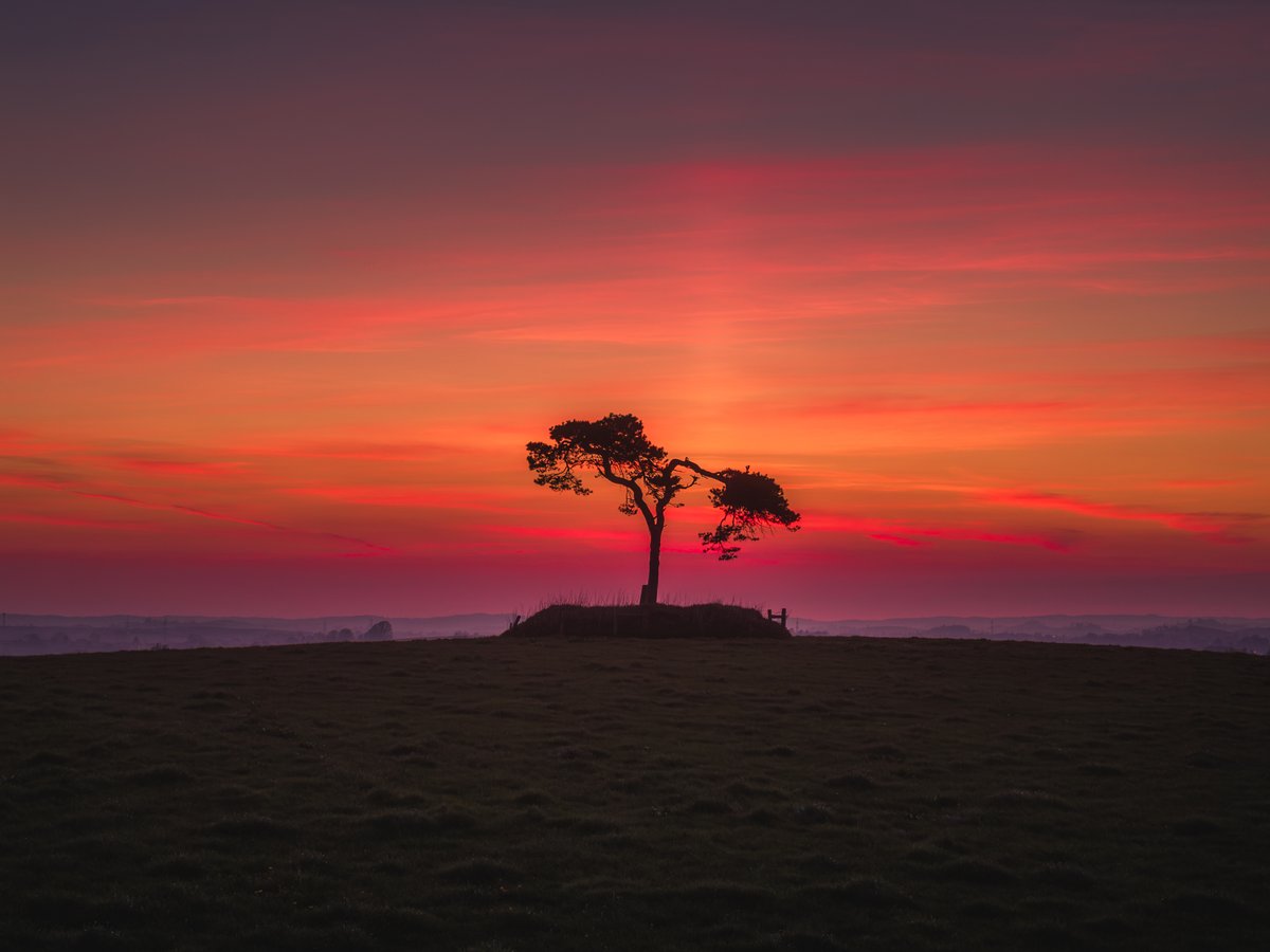 Sunset at the Fairy Tree this evening. You may also spot a faint sun pillar.