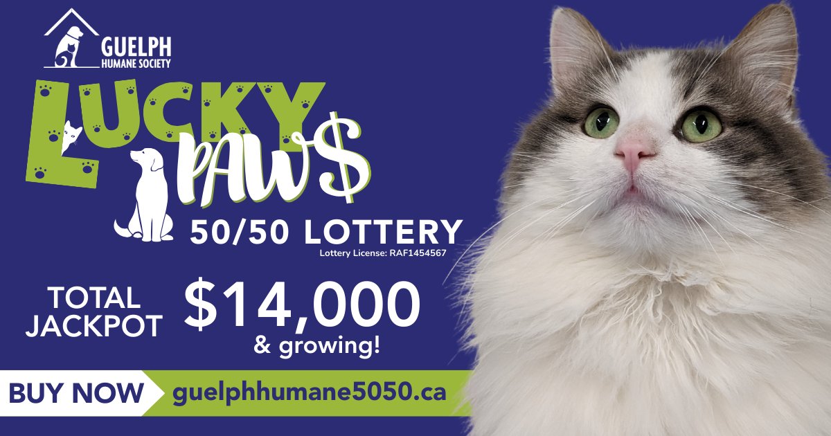 Guelph Humane Society (@guelphhumane) on Twitter photo Spring has sprung and brought with it our Lucky Paws draw is BACK!  The Jackpot is $14,000 and GROWING!
Get your paws in the GAME! Your LUCKY break is their 2nd chance! Tickets are on sale at guelphhumane5050.ca
License No. RAF1454567
Grand Prize Draw: May 16, 2025. Spring has sprung and brought with it our Lucky Paws draw is BACK!  The Jackpot is $14,000 and GROWING!
Get your paws in the GAME! Your LUCKY break is their 2nd chance! Tickets are on sale at guelphhumane5050.ca
License No. RAF1454567
Grand Prize Draw: May 16, 2025.