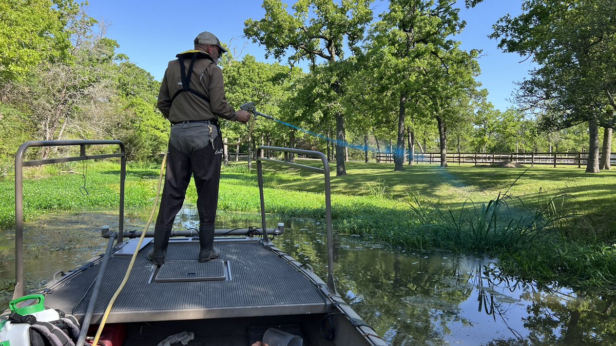 ARSLAKE's tweet photo. Controlling smartweed, water clover, alligator weed and a few spots of cutgrass growing where the customer doesn’t want. Grass carp are working on the submerged weeds. https://t.co/XwkIzL6dDE