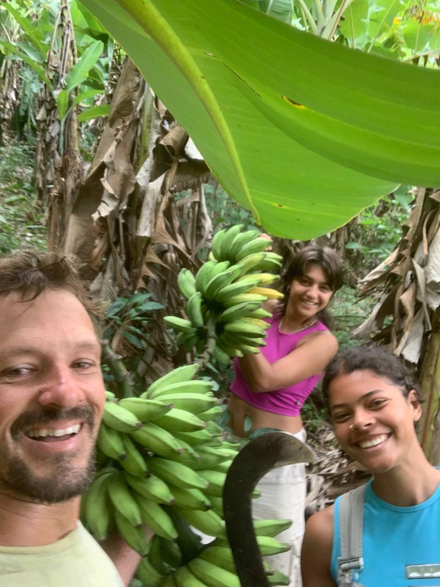 MacaECO (@maca_eco) on Twitter photo Suport us project of Agroforest Volunteers! At Regen Rio #1 on <a href="/gitcoin/">Gitcoin</a>´s <a href="/grantsstack/">Gitcoin Grants Stack</a> ! We are fruit of a great partners like <a href="/greenpillbrasil/">Greenpill Brasil - Live on GG23 Regen Coordination</a> and <a href="/agroforestDAO/">AgroforestDAO</a> !
thanks for all!! lets regeneration!!
explorer.gitcoin.co/#/round/42220/… Suport us project of Agroforest Volunteers! At Regen Rio #1 on <a href="/gitcoin/">Gitcoin</a>´s <a href="/grantsstack/">Gitcoin Grants Stack</a> ! We are fruit of a great partners like <a href="/greenpillbrasil/">Greenpill Brasil - Live on GG23 Regen Coordination</a> and <a href="/agroforestDAO/">AgroforestDAO</a> !
thanks for all!! lets regeneration!!
explorer.gitcoin.co/#/round/42220/…