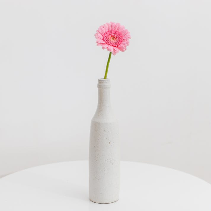 ValkiraDigital's tweet photo. Simplicity speaks volumes! 🎨 Embrace clean designs to create lasting impressions. How do you keep your designs simple yet powerful? Share your thoughts below! 👇 #DesignTips #Simplicity #ValkiraDigital https://t.co/Y5zvUfeovK