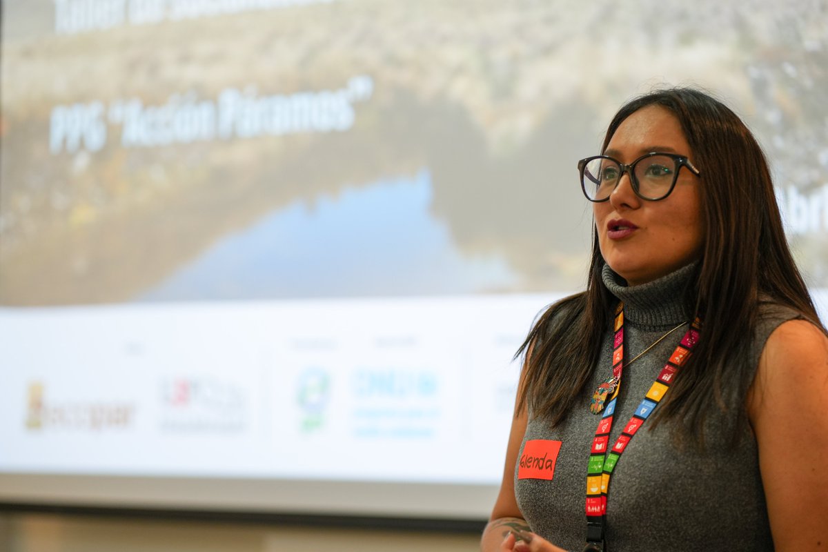 🏔️ El proyecto busca implementar el PAN-Páramos, promoviendo la conservación, restauración y uso sostenible del páramo, sus recursos hídricos y biodiversidad, mejorando la calidad de vida de las comunidades. 🌿💧