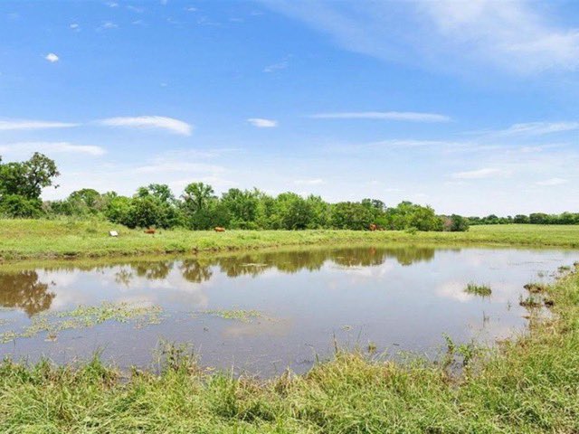 LANDFLIP's tweet photo. Feature #Land: Big Hill Ranch in Limestone Co., TX, is a cattleman's dream. This 175 +/- acre family ranch offers the operational aspects of a cattle ranch as well as a new custom-built barndominium. Offered by Brittany Jackson, with Sadler Land &amp; Realty. https://t.co/fCsaEHaA41 https://t.co/vOgrhaQCbT