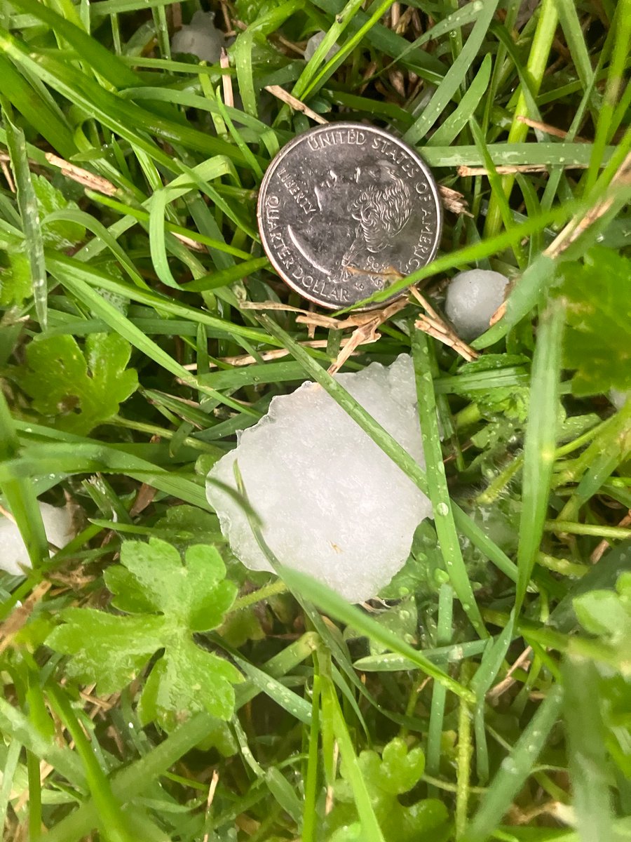 OakRidgeToday tweet media