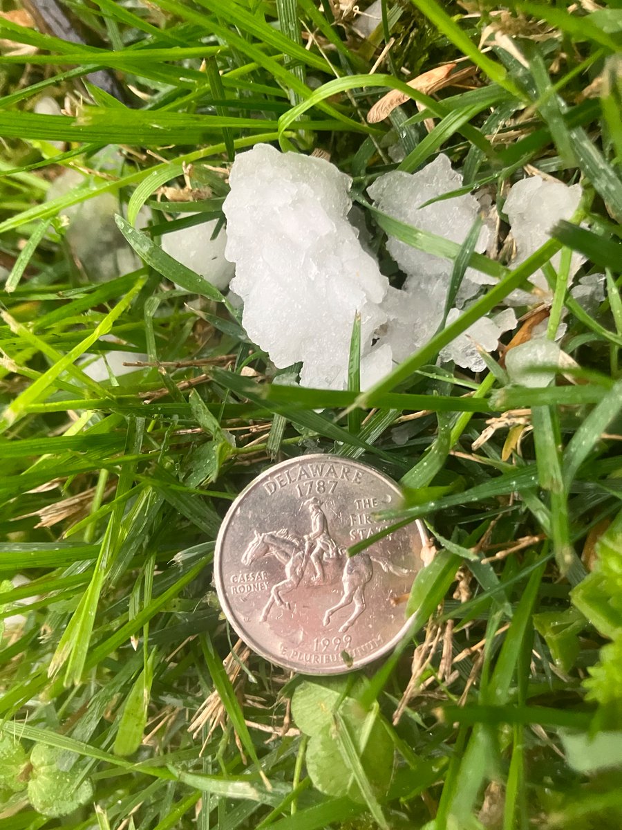 Hail as big as a quarter or larger falling in Oak Ridge about 10 minutes ago. I don’t see any damage to cars, fortunately, but the hail sure made a lot of noise. Seems a bit slushy, maybe from higher temps? #tnwx