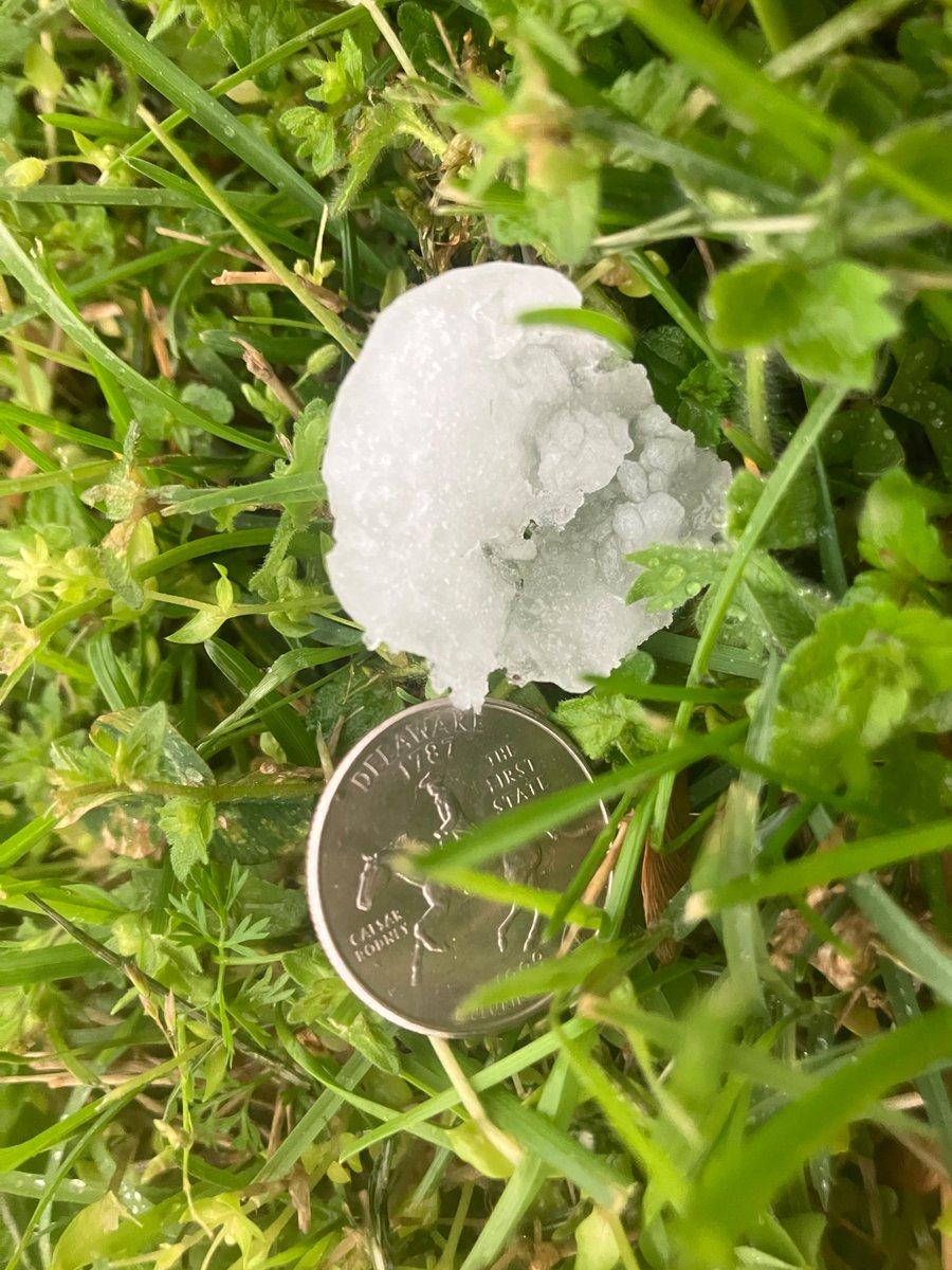 OakRidgeToday tweet media