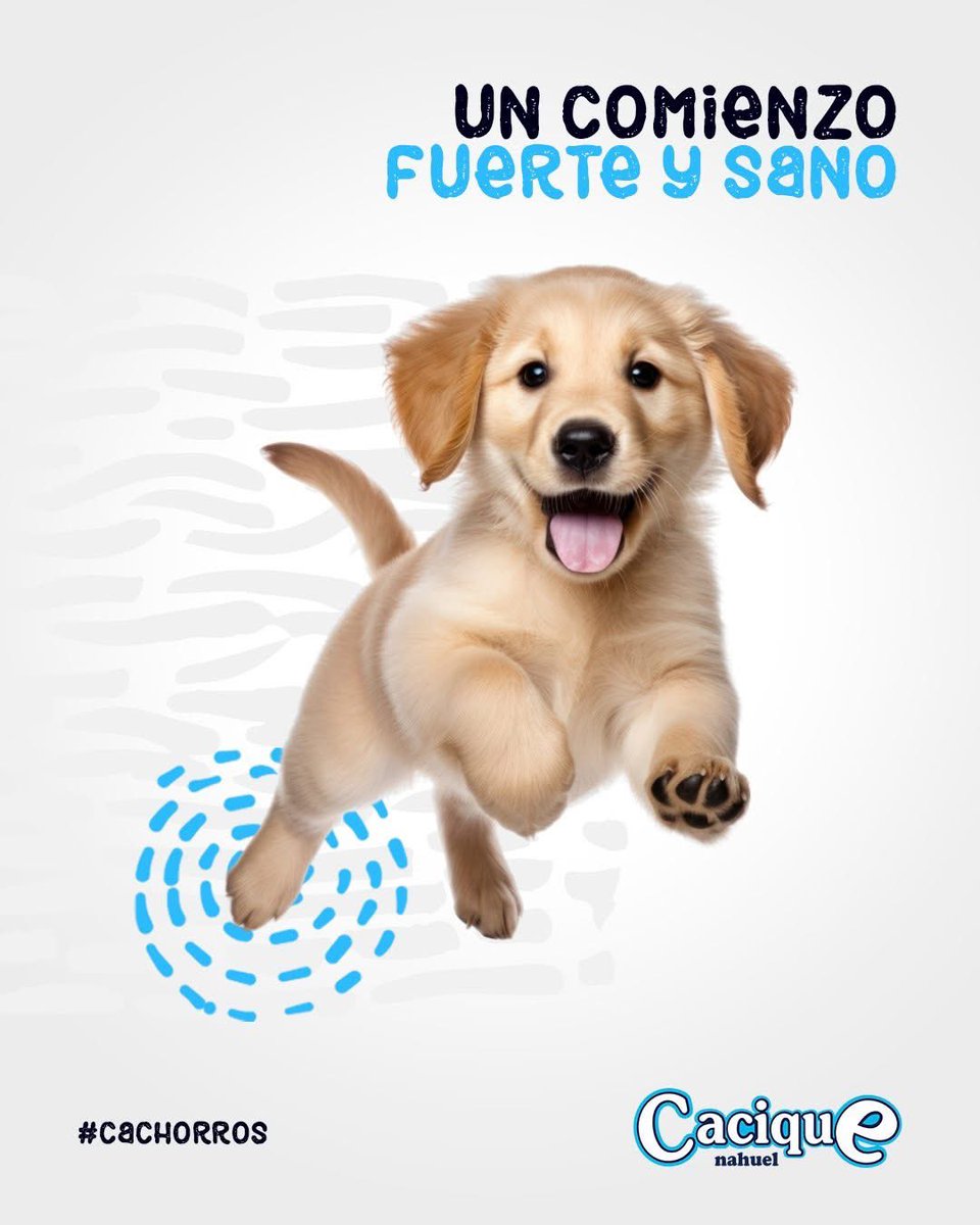deribalsa's tweet photo. Un comienzo fuerte y sano.
28% de proteína de alto valor biológico.
Vitaminas y minerales esenciales
La etapa de crecimiento es clave
Por eso, Cacique Cachorros ofrece la nutrición que tu perro necesita para desarrollarse fuerte, sano y lleno de energía
Dale la mejor nutrición https://t.co/yWkPXH0QX8