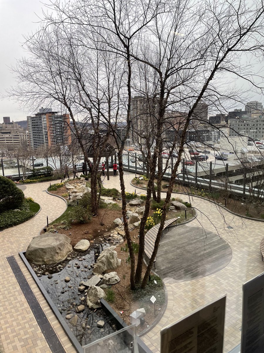 LisaCarberg's tweet photo. An oasis in the city. ⁦@YaleCancer⁩ ⁦@SmilowCancer⁩ Healing Garden is so pretty. #medicalreporting ⁦@WTNH⁩ https://t.co/8WHbq7wqUY