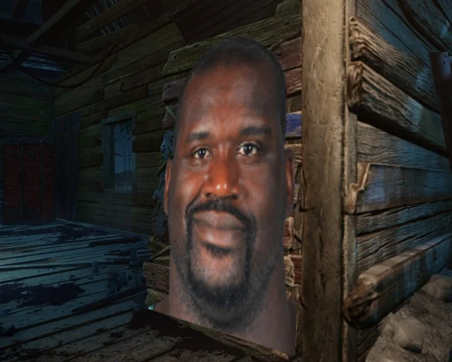 Shaq Pallet

made by u/Fantastic_Catch_2059