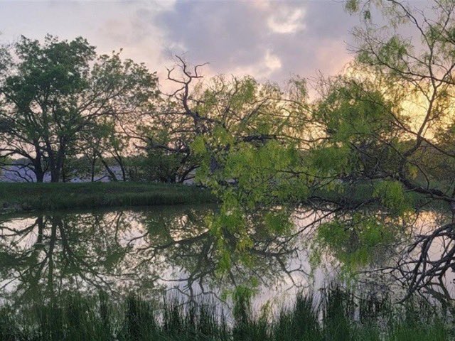 FARMFLIP's tweet photo. Feature #Farm: Big Hill Ranch in Limestone Co., TX, is a cattleman's dream. This 175 +/- acre family ranch offers the operational aspects of a cattle ranch as well as a new custom-built barndominium. Offered by Brittany Jackson, with Sadler Land &amp; Realty. https://t.co/8N7LhKTwow https://t.co/gbi1nhyirG