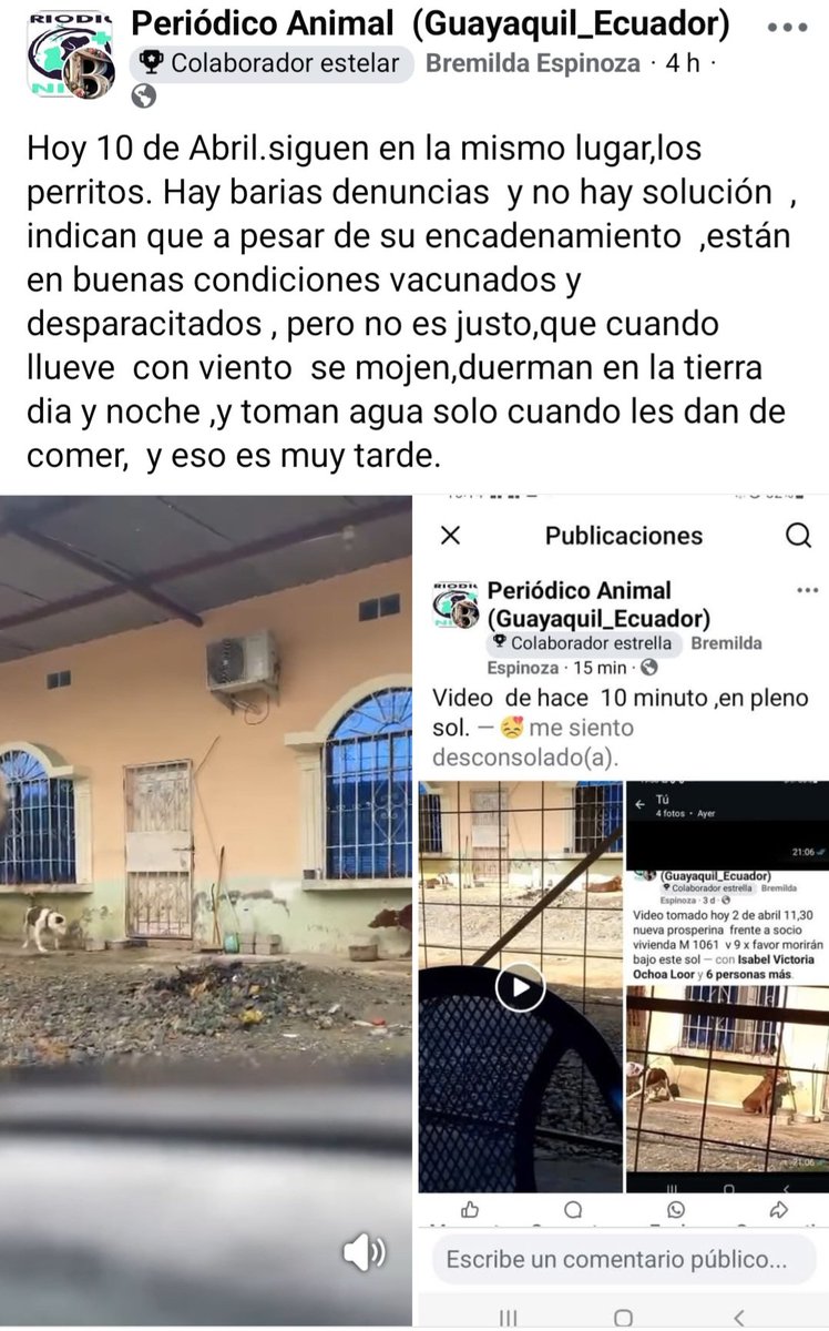 carmitafernandez tweet media