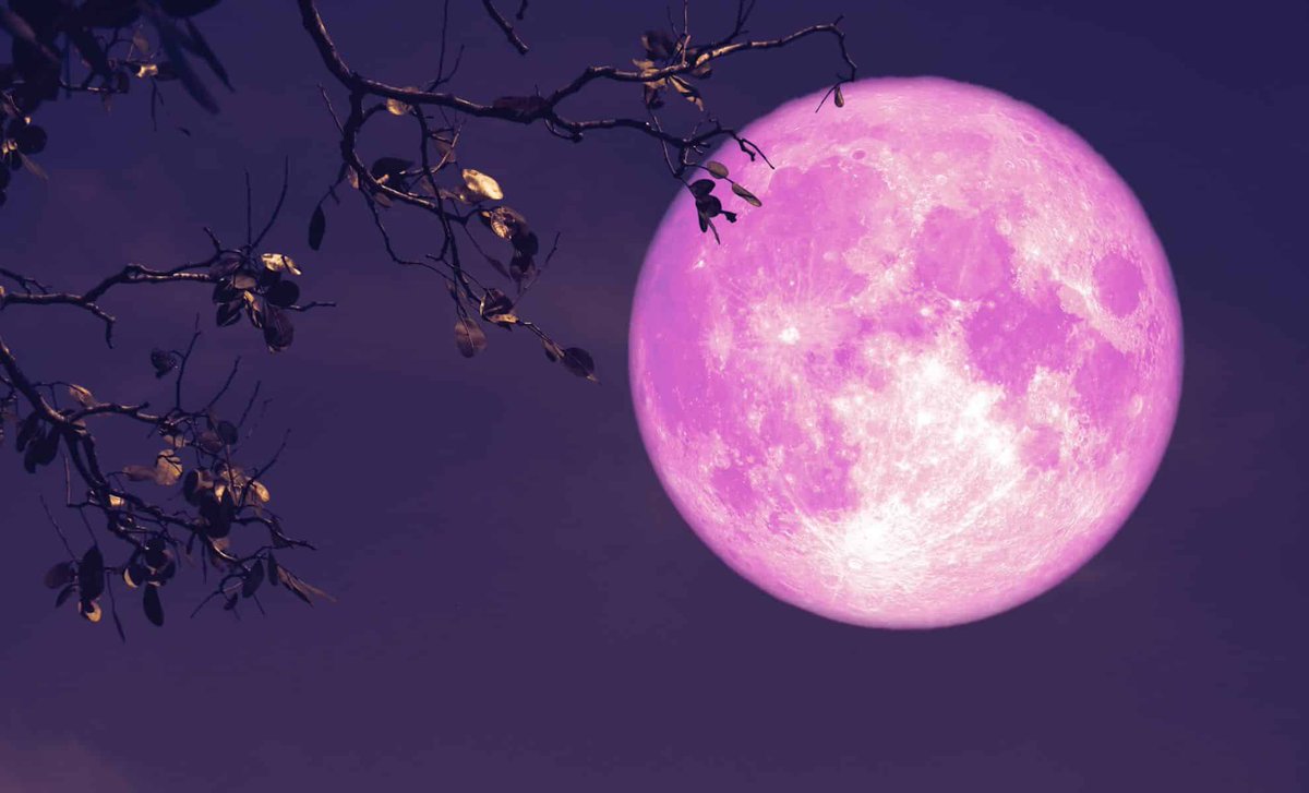 BREAKING NEWS
🚨 Machine Gun Kelly will be lighting up the moon pink this weekend 🌝