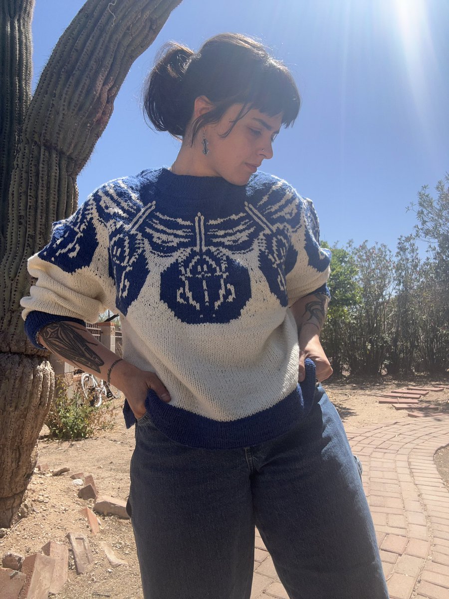 the_leafhopper's tweet image. If anyone who studies horseshoe crabs also knits and wants to test knit this new sweater design…test call goes out in about a week and I will be prioritizing horseshoe crab researchers and folks who could potentially take a picture of a crab with their crab sweater…