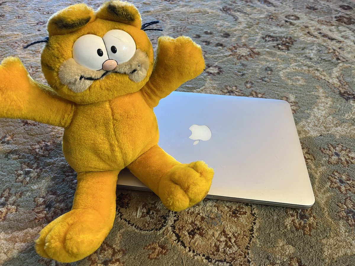 While out at my parents house, I found this stuffed Garfield.  It has a hole is the back, room enough for a hard drive.   If you read the book, you know!  Cheers!

a.co/d/i3opXnn