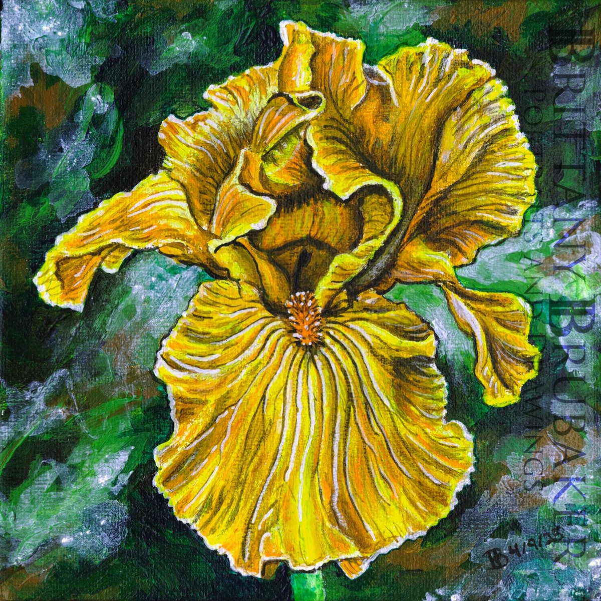 BMBrubaker's tweet photo. Acrylic painting on 6"x6" canvas of an Iris. 

Come check it out during the Chester County Studio Tour

#bmbrubaker #iris #yellowiris #painting #flowerpainting #myartwork #handmade #canvasart #greenandyellow #flowerdesign #artistlife #myphotography #acrylicpainting #square https://t.co/Fla14JtFoA