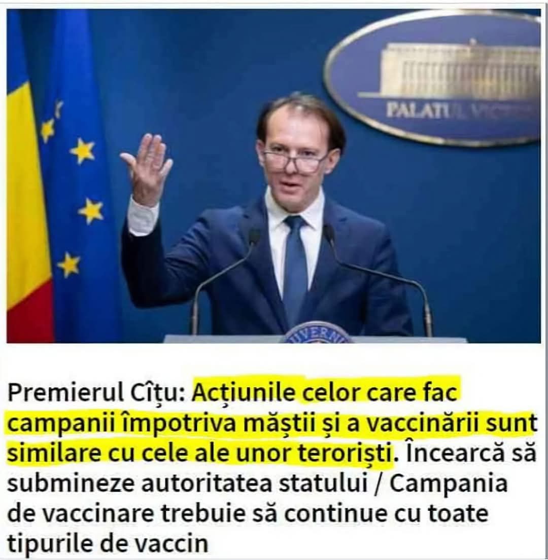 MooieCabala tweet media