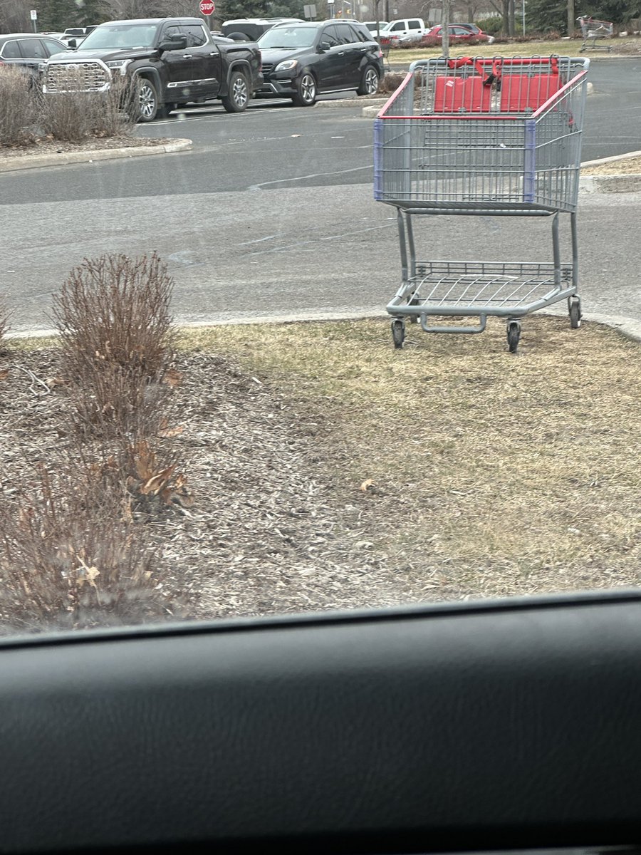 A little part of me died watching someone pull a pit maneuver 

We need a <a href="/CartNarcs/">CartNarcs</a> Canadian edition