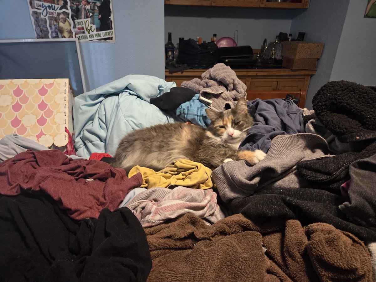 Nichole✌️ tweet media