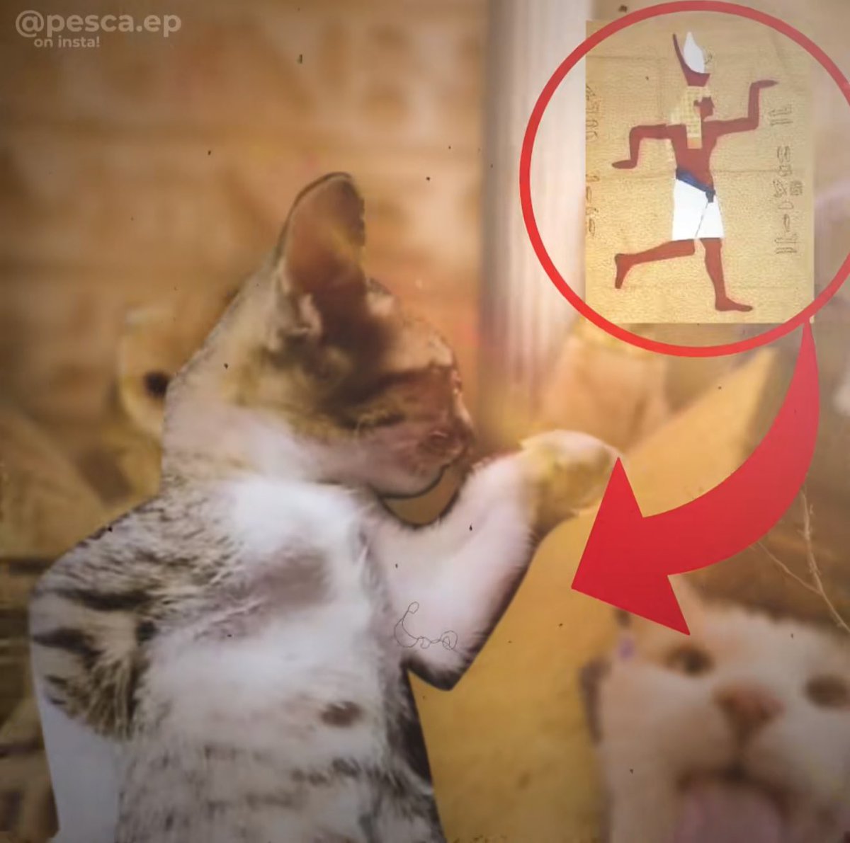 TD100x's tweet image. seeing the Egyptian trend getting millions of likes on TikTok & Twitter
only a matter of time…
