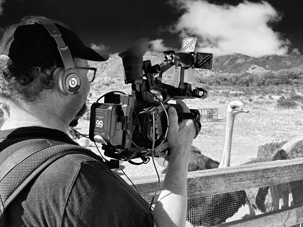 amlandtv's tweet photo. Every great travel series has a skilled cameraman behind the scenes. In this shot, Rich captures some b-roll footage of the ostriches at Ostrichland USA. https://t.co/WE1uLENE1X