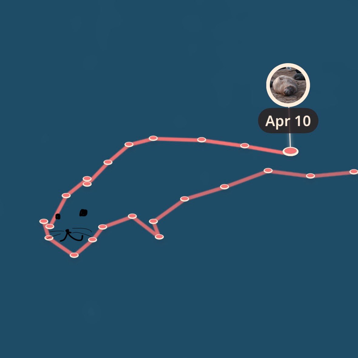 alyssa 🦭 tweet media
