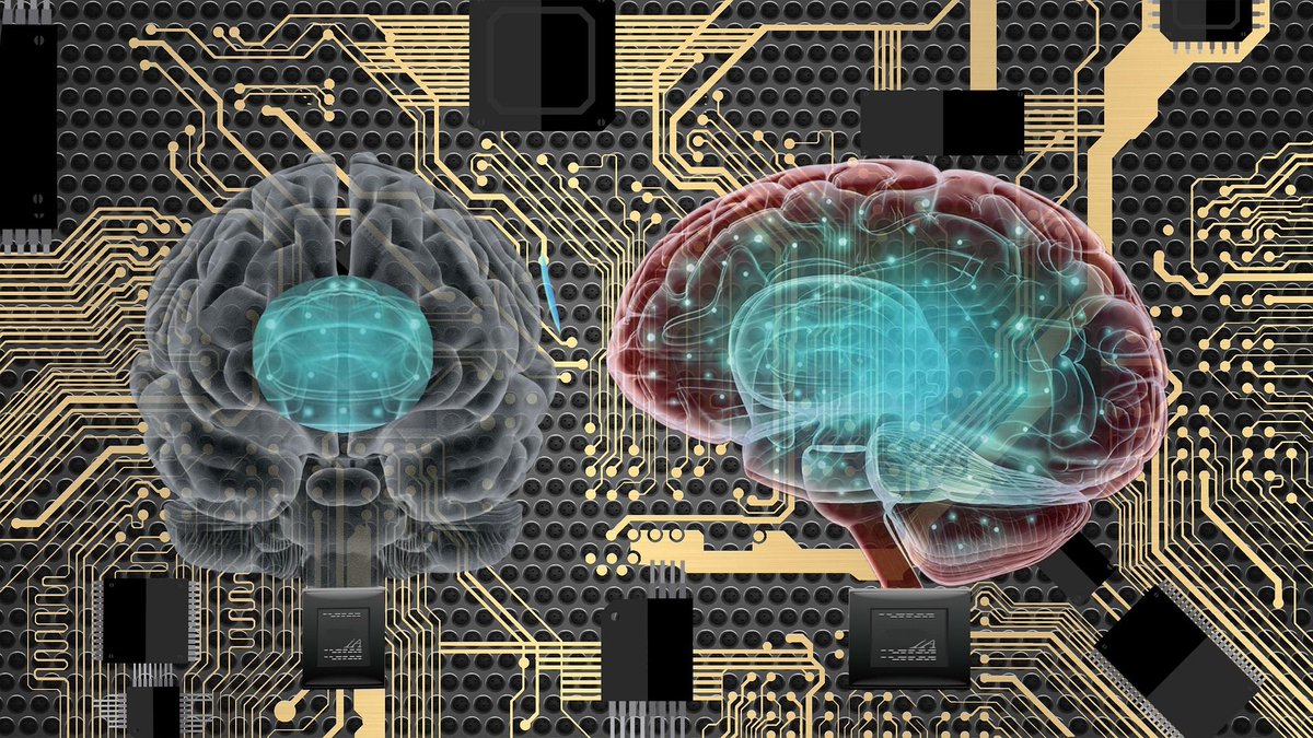 New Post: Navigating the Ethics and Ontology of Human Neuron-Microchip Biocomputers blog.apaonline.org/2025/04/10/nav…