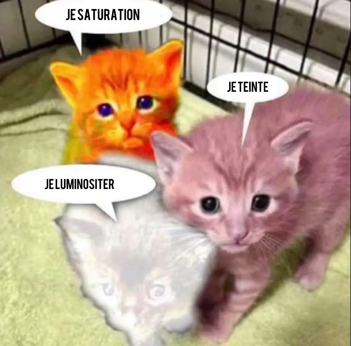 Memes traduits en français sans aucun crédit tweet media