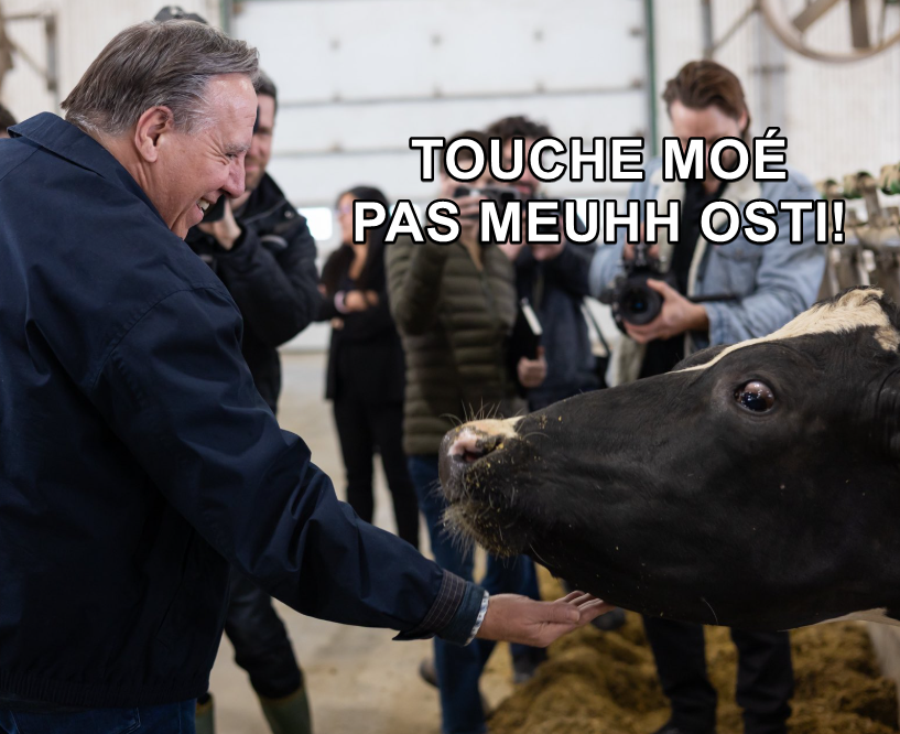 NoID1290's tweet photo. @francoislegault https://t.co/jT2ZHZSr0e