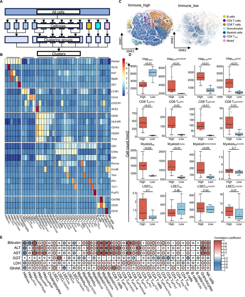 Gut_BMJ's tweet photo. #GUTOnline paper by Röttele et al on 

"Characteristic immune cell interactions in livers of children with acute hepatitis revealed by spatial single-cell analysis identify a possible postacute sequel of COVID-19" via

https://t.co/qLbR1Hik6X

@teximmed2 @therealbbengsch #COVID19 #Hepatitis