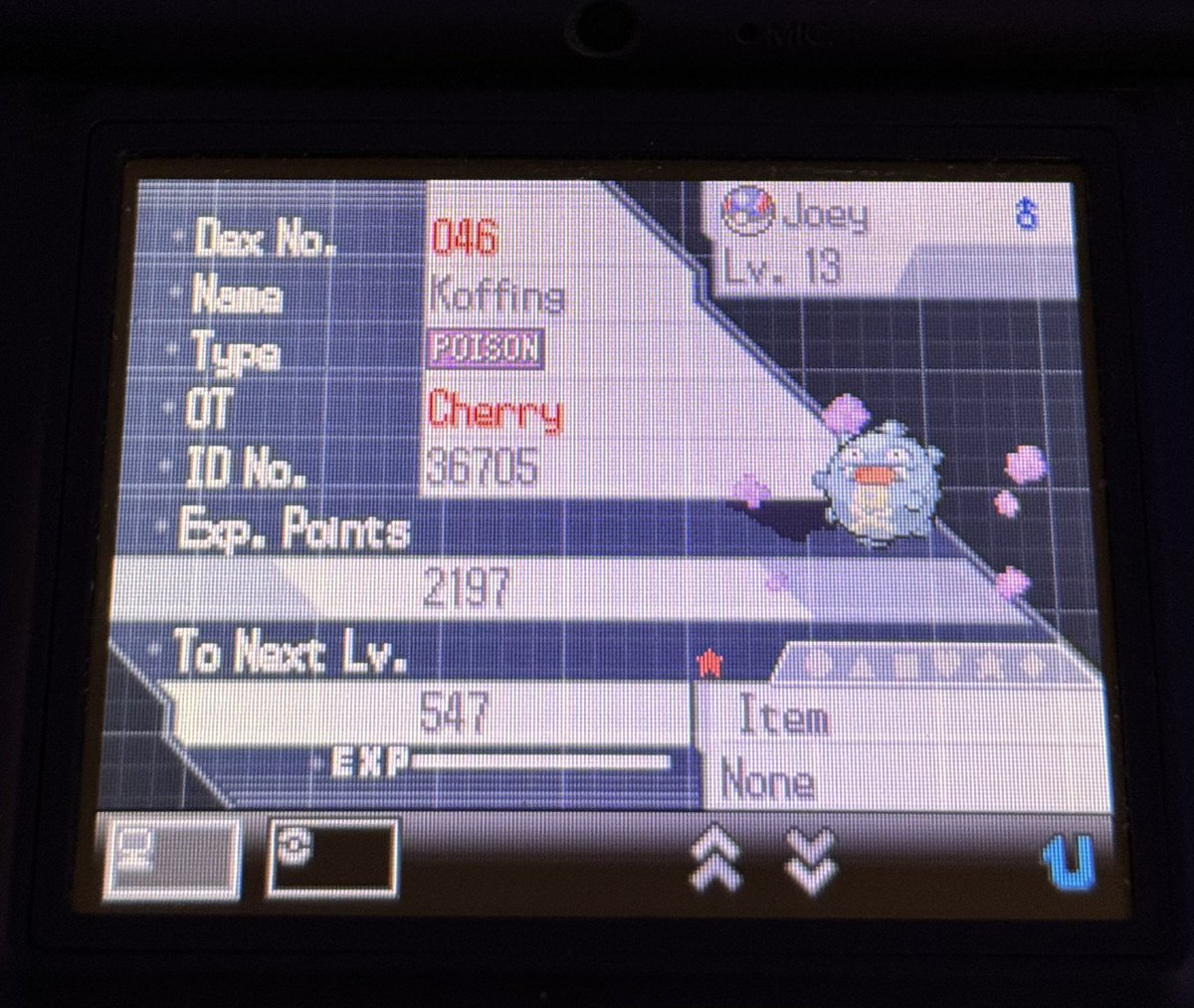 Shiny Koffing after 2,683 re's. First shiny in like a year i think. Phase 7 for magby. kinda unlucky but cant complain