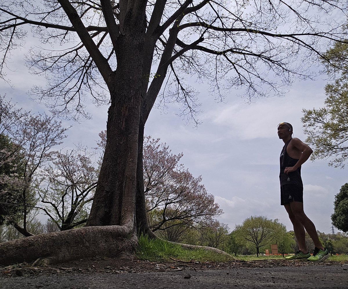 katsuki5025's tweet image. 昨日、
アイシングを忘れて、
腫れぼったさが抜けきれなかったのが、
目標距離まで走りきれず🥺
全天候型なので、
雨でも走ります🏃‍♂️

【04/10(木)】
①14kmjog

【TOEIC】
①金フレ300語
②銀フレ200語
③英文法30問
④金パケpart7 1問

#carosvertix2 
#tabio
#xplosion
#TOEIC
#博士課程の道