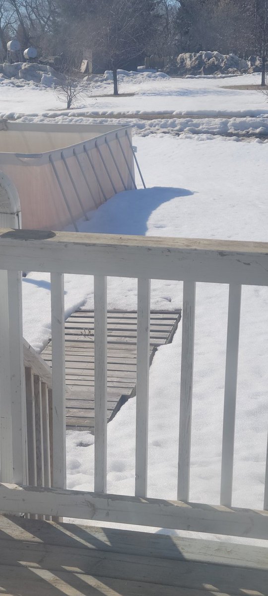 Andrew Dalgarno tweet media