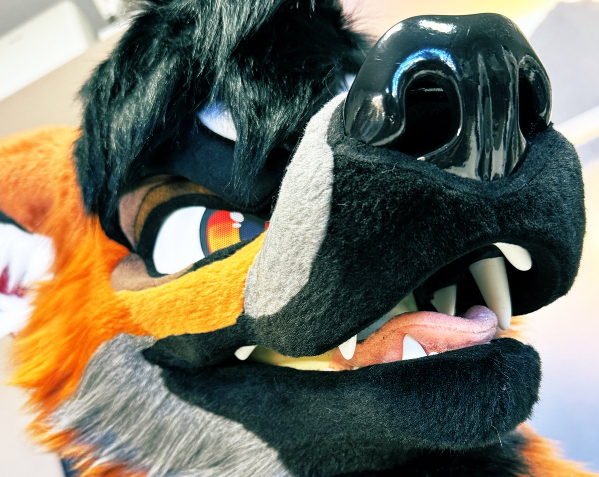 kane (@kanewuff) / Posts / X