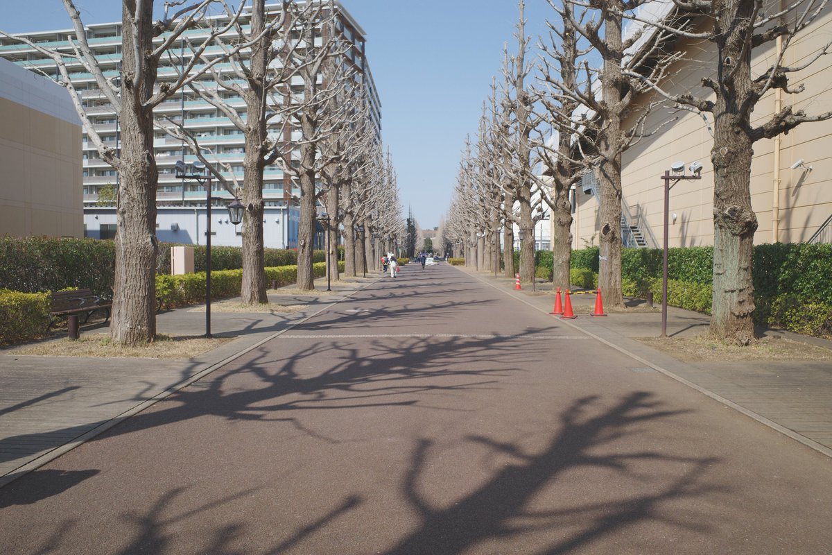 おはようございます！
本日もよろしくお願いします

#写真好きな人と繋がりたい
#写真撮ってる人と繋がりたい
#スナップ

📸GRⅢ