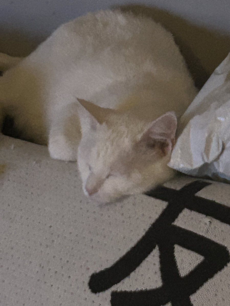 Vektra__'s tweet photo. Meu mundinho inteiro https://t.co/QbOuoZ2qqE