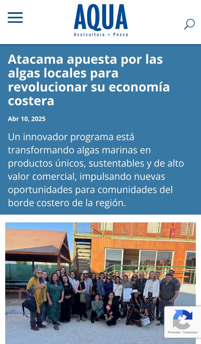 Un poco de lo que fue el lanzamiento del #PDT #AlgasAtacama junto a <a href="/CorfoAtacama/">Corfo Atacama</a> en #Caldera. #algas #innovación #algaschilenas 
aqua.cl/atacama-apuest…