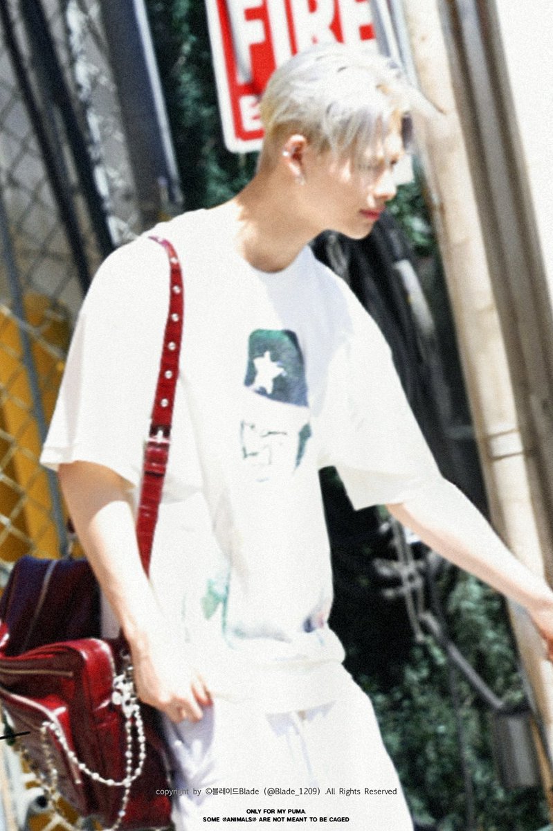 블레이드Blade tweet media