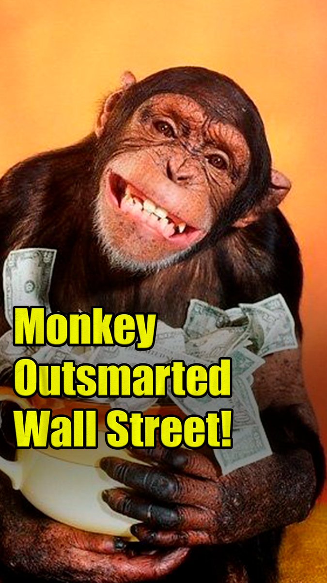 curiousfactzone's tweet photo. Chimp Beats 6000 Brokers on Wall Street! 🐵📈 #FinanceFacts #StockMarket #WeirdHistory https://t.co/c8ZsAtcX5R